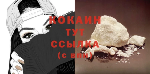 дурь Сясьстрой