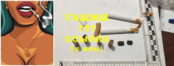 дурь Сясьстрой